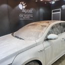 루페스빅풋디테일링센터 계양점 | 루페스 빅풋 디테일링센터 방배점 내돈내산 세차후기