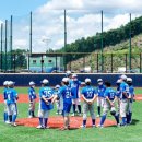 태장체육단지 야구장 이미지