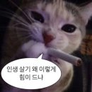 메디컬리스트(주) | 주선왕 추천 찐 후기 내돈내산(?) 1회 만남권 받자 공주들아_1주차 8명정도 2주차도8명정도 추천