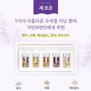 보나플로