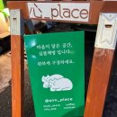 동대구역 근처 놀거리, 고양이가 있는 독립서점 카페 심플책방 후기