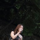 수요무대 이미지