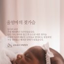 울엄마 Daum카페
