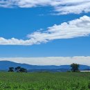 일출한우농장 이미지