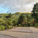 포레스트벨리캠프 이미지