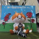 해피그루밍 | 2025 궁디팡팡 캣페스타 부산 마지막날 후기