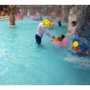 진양호캐리비안워터파크 이미지