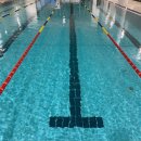 스윔아이 이미지