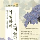 아침고요 이미지