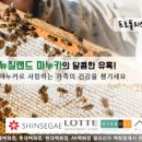 오일베스트 이미지