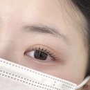 아로운 | 원주 속눈썹 아로운 후기, 뷰러 없는 아침이 이렇게 편할 줄이야