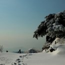쑥맥 - 중랑구 봉우재로33길 35 | 쑥맥