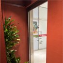 분당-359 이미지