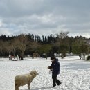 어울림목장 이미지