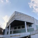 배재로197번길 | 260110 스트릿 주짓수 143 대전(STREET JIU-JITSU) 참석후기