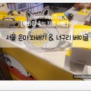 꽈배기서울 | 대구 더현대 지하 식품관 팝업｜서울 은마꽈배기 &amp; 너구리 베이글 디저트 팝업 후기