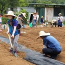 농사꾼농장 이미지