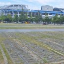 대전월드컵경기장 이미지