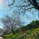 현대연쇄점 이미지