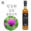 담은