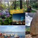 오관리 875-19번지 앞 | 1908 | 서산·태안 2박3일 가족여행, 혹서기 극기훈련, 프롤로그