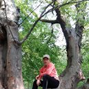 보성공설운동장 이미지