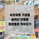 메이플베어어학원주 | 속초 중앙시장 설악산 단풍빵 기념품으로 너무 좋은 내돈내산 후기 종류별로 다 먹어보기
