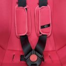 (주) 더나눔 | 페도라 바구니 카시트 당근 무료 나눔 4개월 사용 후기｜바구니 카시트 언제까지?