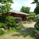 바람소리새소리 이미지