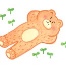 도담도담펫살롱 이미지