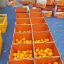 이혁농장 이미지