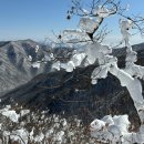 알레버스 덕유산 겨울 설산 처음으로 등산한 후기(복장, 준비물, 곤돌라)