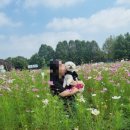 애견가을농장 이미지