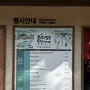 사또네 | 용인한국민속촌 사또네 머슴선발전 관람후기와 초파일행사 정보