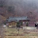 충신의사단비 이미지