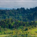 연세나루정신건강의학과의원 이미지