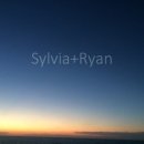 현대렌트카 이미지