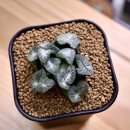 만상농장 이미지