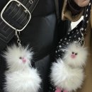 스페샬나잇트 이미지