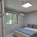 신촌지락 이미지