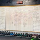 라이프핏 이미지