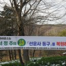 라이온스와 고창군청은 미당의 [선운사의 동구]를 복원해주세요! 이미지