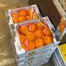 다산식자재마트 이미지