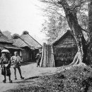 1862 이미지