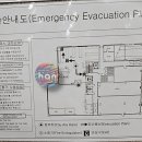 로뎀트리스파 이미지