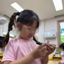 공립 사랑숲어린이집 이미지