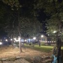 팔공산오리 이미지