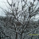 무지개송어횟집 이미지