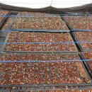 노지하우스 이미지