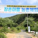 화성낙농영농조합법인 | 경기 용인시 &#39;용인웬떡마을, 용인시민농장 등 가볼 만한 곳